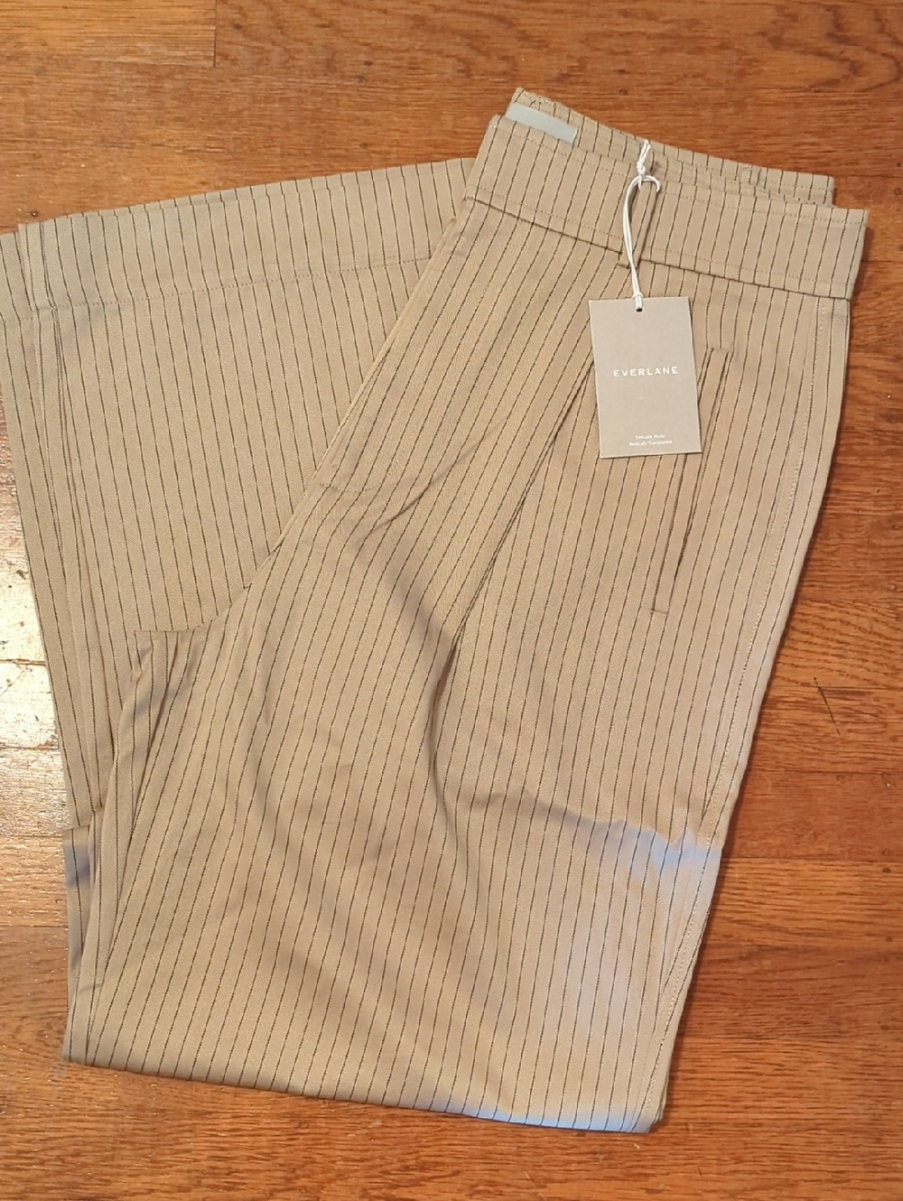EVERLANE The Way-High® Draper Pinstripe Pleated Pants